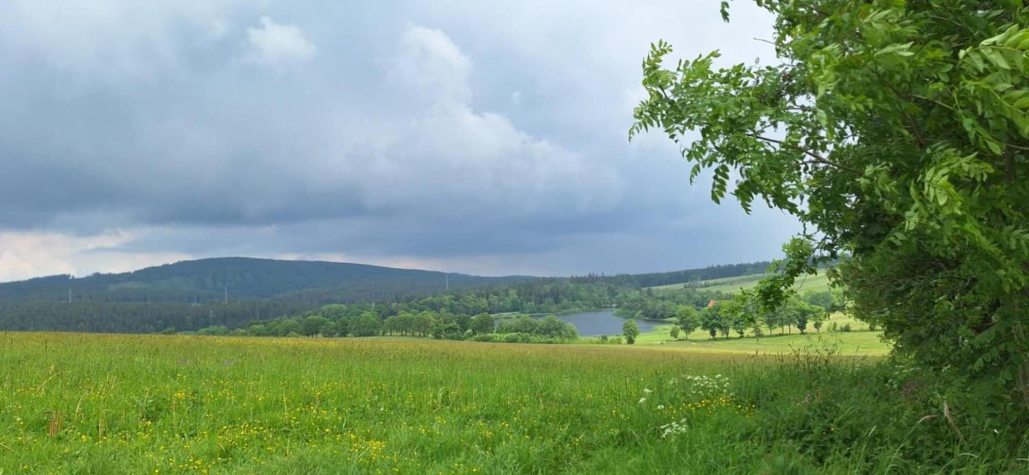 Mai-Ferienhaus-Harz 210Qm Clausthal-Zellerfeld Ngoại thất bức ảnh